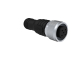 M12-Stecker, 5-polig