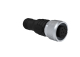 M12-Stecker, 8 polig